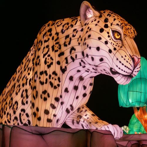 Cheap Custom Chinwa Outdoor Animal antèn dekoratif antèn